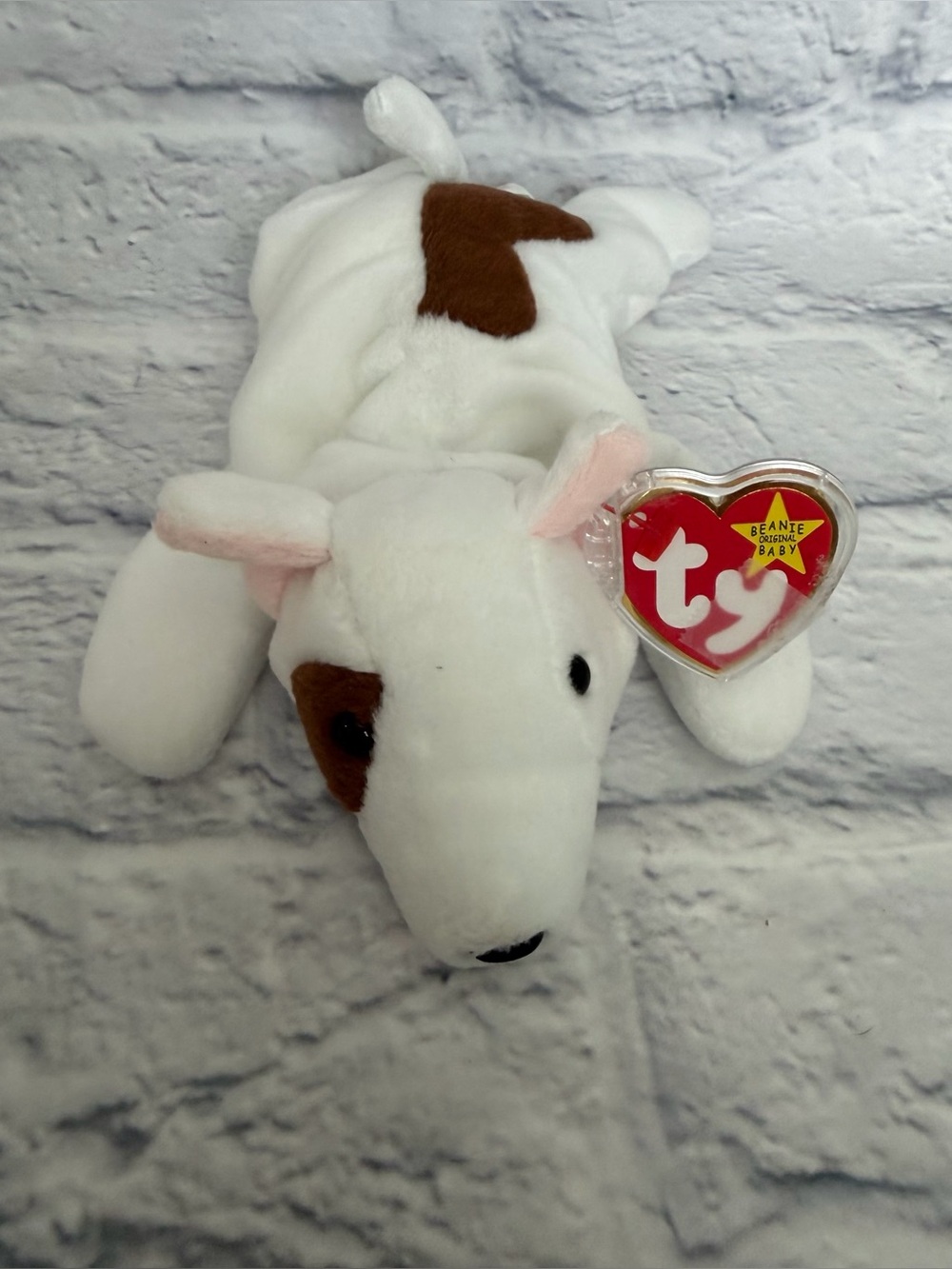 TY Beanie Baby - Butch